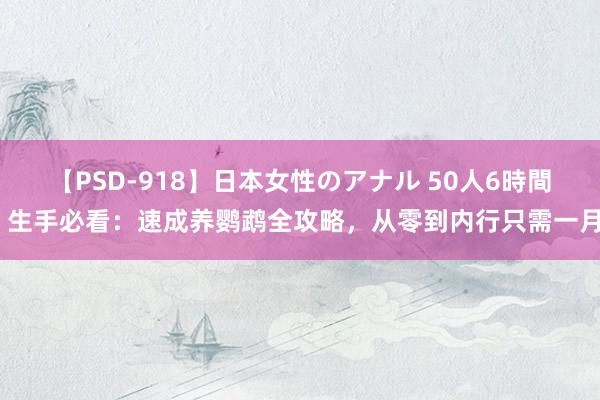 【PSD-918】日本女性のアナル 50人6時間 生手必看：速成养鹦鹉全攻略，从零到内行只需一月