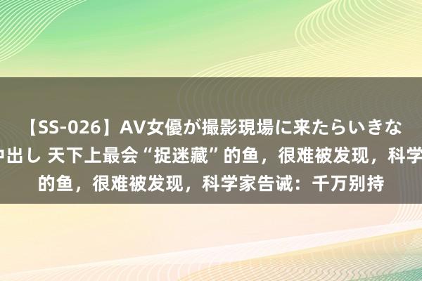 【SS-026】AV女優が撮影現場に来たらいきなりSEX 即ハメ 生中出し 天下上最会“捉迷藏”的鱼，很难被发现，科学家告诫：千万别持