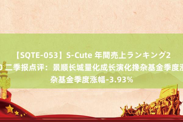 【SQTE-053】S-Cute 年間売上ランキング2013 TOP30 二季报点评：景顺长城量化成长演化搀杂基金季度涨幅-3.93%