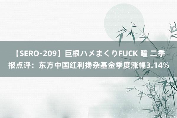 【SERO-209】巨根ハメまくりFUCK 瞳 二季报点评：东方中国红利搀杂基金季度涨幅3.14%