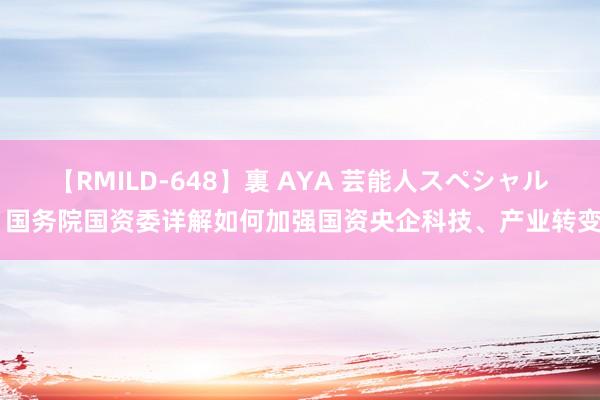 【RMILD-648】裏 AYA 芸能人スペシャル 国务院国资委详解如何加强国资央企科技、产业转变