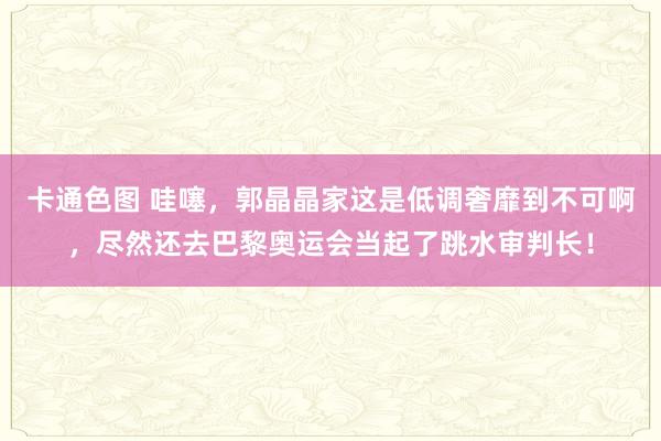 卡通色图 哇噻，郭晶晶家这是低调奢靡到不可啊，尽然还去巴黎奥运会当起了跳水审判长！