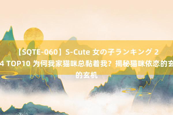 【SQTE-060】S-Cute 女の子ランキング 2014 TOP10 为何我家猫咪总黏着我？揭秘猫咪依恋的玄机