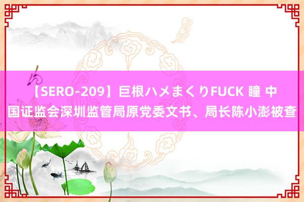 【SERO-209】巨根ハメまくりFUCK 瞳 中国证监会深圳监管局原党委文书、局长陈小澎被查