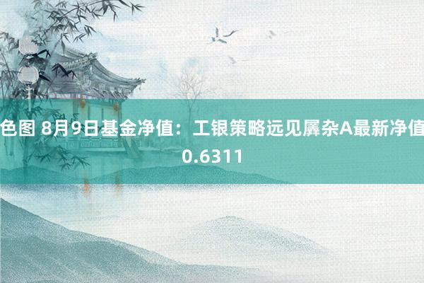 色图 8月9日基金净值：工银策略远见羼杂A最新净值0.6311