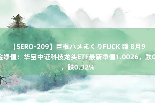 【SERO-209】巨根ハメまくりFUCK 瞳 8月9日基金净值：华宝中证科技龙头ETF最新净值1.0026，跌0.32%