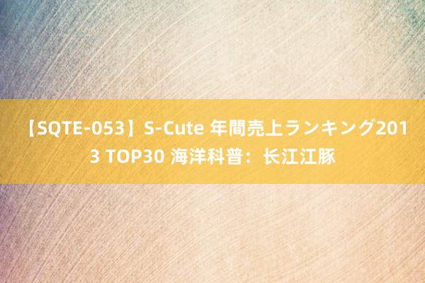 【SQTE-053】S-Cute 年間売上ランキング2013 TOP30 海洋科普：长江江豚