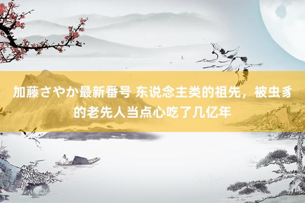 加藤さやか最新番号 东说念主类的祖先，被虫豸的老先人当点心吃了几亿年