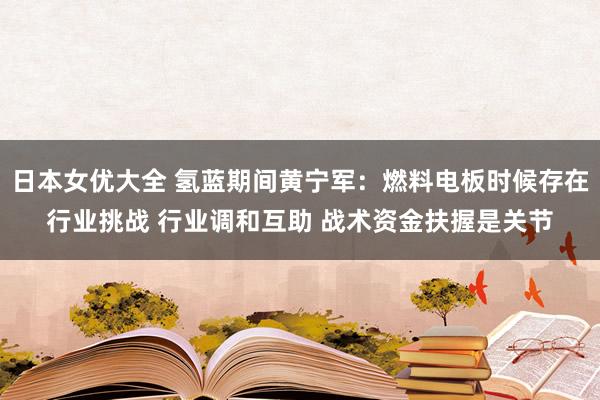 日本女优大全 氢蓝期间黄宁军：燃料电板时候存在行业挑战 行业调和互助 战术资金扶握是关节