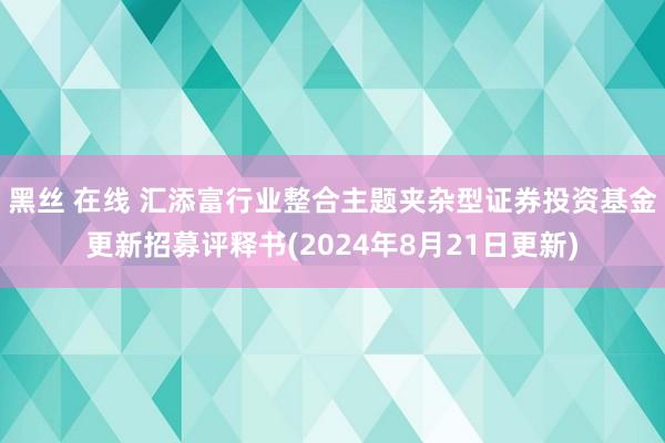 黑丝 在线 汇添富行业整合主题夹杂型证券投资基金更新招募评释书(2024年8月21日更新)