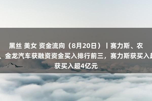 黑丝 美女 资金流向（8月20日）丨赛力斯、农业银行、金龙汽车获融资资金买入排行前三，赛力斯获买入超4亿元