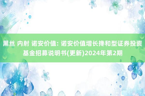 黑丝 内射 诺安价值: 诺安价值增长搀和型证券投资基金招募说明书(更新)2024年第2期