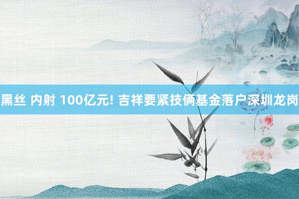 黑丝 内射 100亿元! 吉祥要紧技俩基金落户深圳龙岗