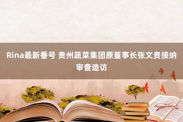 Rina最新番号 贵州蔬菜集团原董事长张文贵接纳审查造访