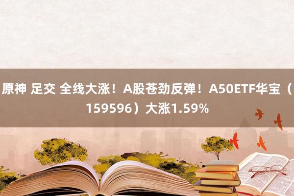 原神 足交 全线大涨！A股苍劲反弹！A50ETF华宝（159596）大涨1.59%