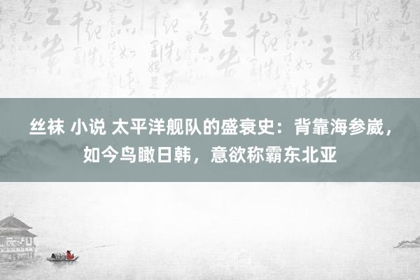 丝袜 小说 太平洋舰队的盛衰史：背靠海参崴，如今鸟瞰日韩，意欲称霸东北亚