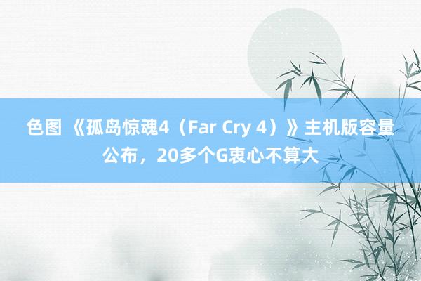 色图 《孤岛惊魂4（Far Cry 4）》主机版容量公布，20多个G衷心不算大