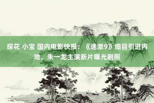 探花 小宝 国内电影快报：《速激9》细目引进内地，朱一龙主演新片曝光剧照