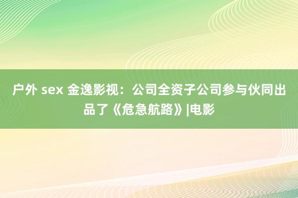 户外 sex 金逸影视：公司全资子公司参与伙同出品了《危急航路》|电影