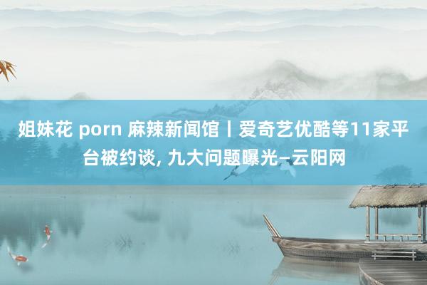 姐妹花 porn 麻辣新闻馆丨爱奇艺优酷等11家平台被约谈， 九大问题曝光—云阳网