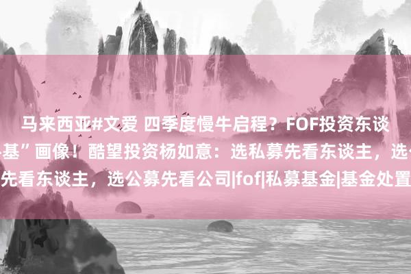 马来西亚#文爱 四季度慢牛启程？FOF投资东谈主解密他们眼中的“牛基”画像！酷望投资杨如意：选私募先看东谈主，选公募先看公司|fof|私募基金|基金处置东谈主