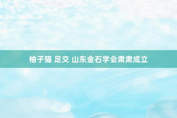 柚子猫 足交 山东金石学会肃肃成立