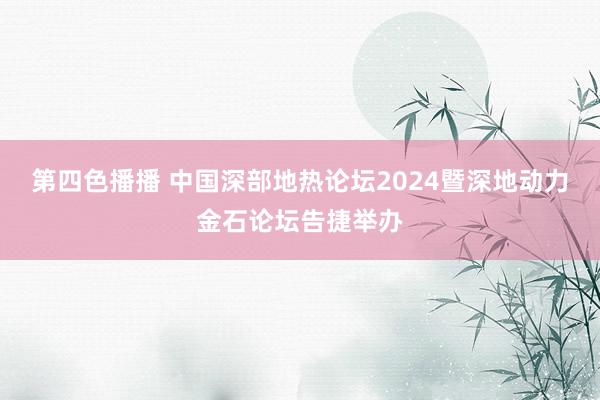 第四色播播 中国深部地热论坛2024暨深地动力金石论坛告捷举办