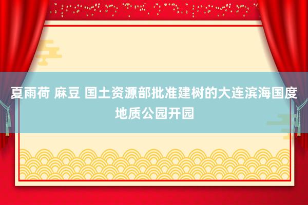 夏雨荷 麻豆 国土资源部批准建树的大连滨海国度地质公园开园